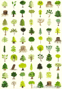 ​树的几百种画法~简单画树的方法