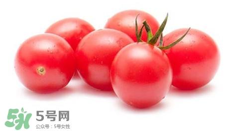 怎样种植小番茄？小番茄怎么种