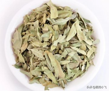 ​罗布麻的功效与作用（平肝  清热  利尿）