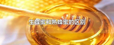 ​什么是熟蜂蜜什么是生蜂蜜 熟蜂蜜好还是生蜂蜜好