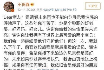 ​王栎鑫为什么离的婚（王栎鑫离婚的原因）