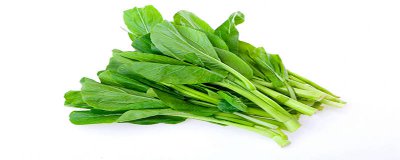 ​芥菜和苤蓝的区别 芥蓝与菜心区别