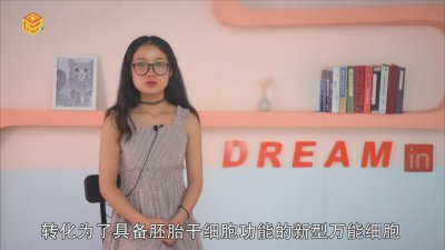 ​什么细胞被称为万用细胞 万能细胞是