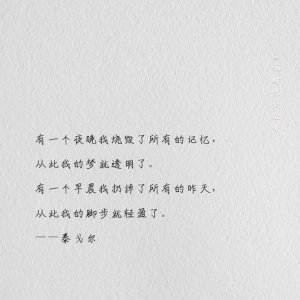 朋友圈文案干净文艺短句
