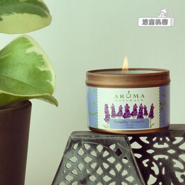 香薰哪个牌子好 世界香薰品牌排行榜