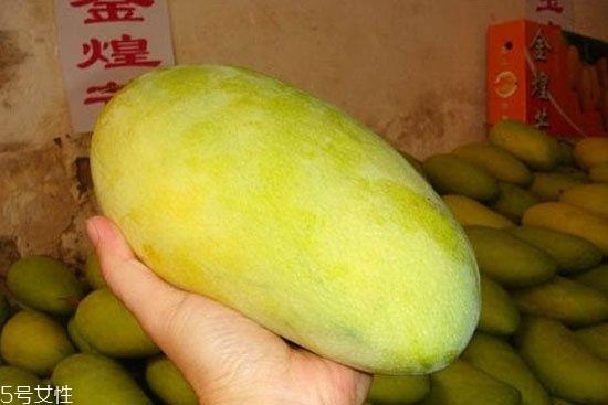 芒果的种类和品种介绍图片