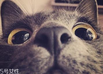 美瞳什么材质的好 各有各的优点