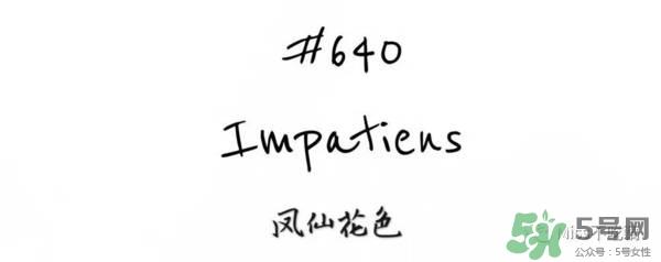 gucci唇膏试色 gucci唇膏色号 gucci唇膏试色 gucci唇膏色号