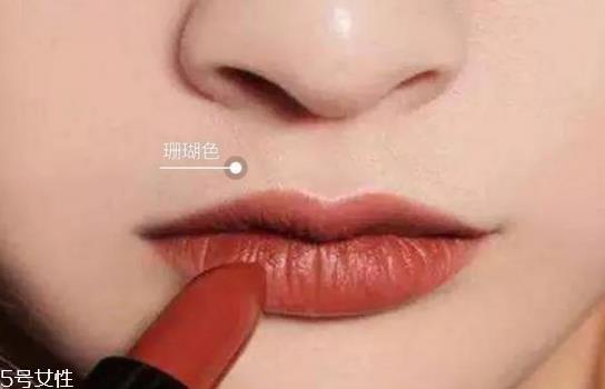 皮肤偏黄偏黑适合什么颜色口红 皮肤偏黄偏黑口红颜色 皮肤偏黄偏黑适合什么颜色口红 皮肤偏黄偏黑口红颜色