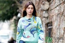 什么牌子的卫衣时尚又好看？什么牌子的卫衣适合年轻人？