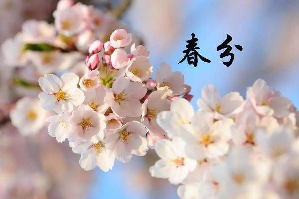 春分时太阳直射在什么地方 春分时候气温一般在多少度 春分时太阳直射在什么地方 春分时候气温一般在多少度