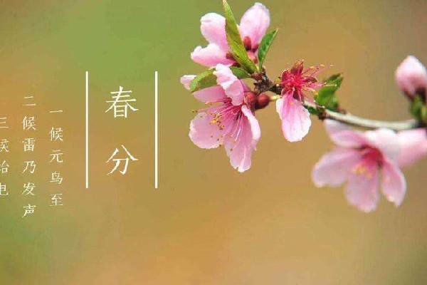 春分时太阳直射在什么地方 春分时候气温一般在多少度 春分时太阳直射在什么地方 春分时候气温一般在多少度