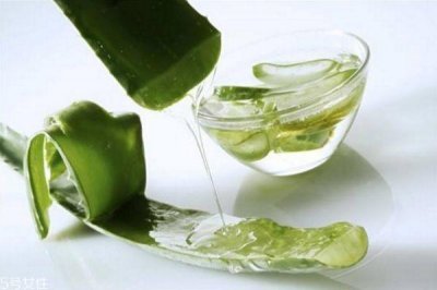 ​芦荟做面膜的正确方法 芦荟面膜配方