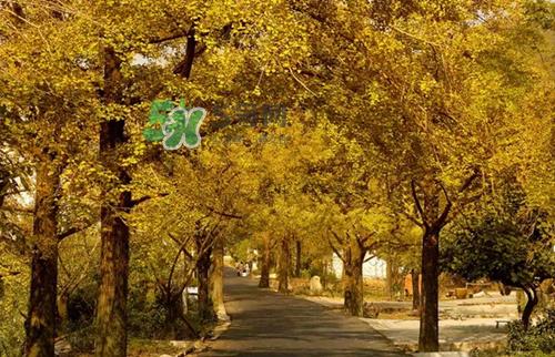 9月份去浙江穿什么？九月份去浙江穿什么衣服