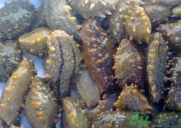 海参可以天天吃吗?海参能每天吃吗? 海参可以天天吃吗?海参能每天吃吗?