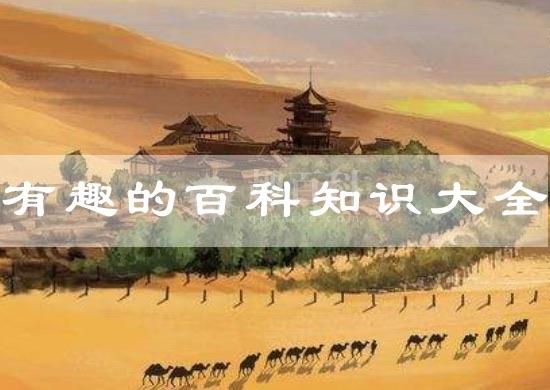 生活有趣的百科知识问答大全  1