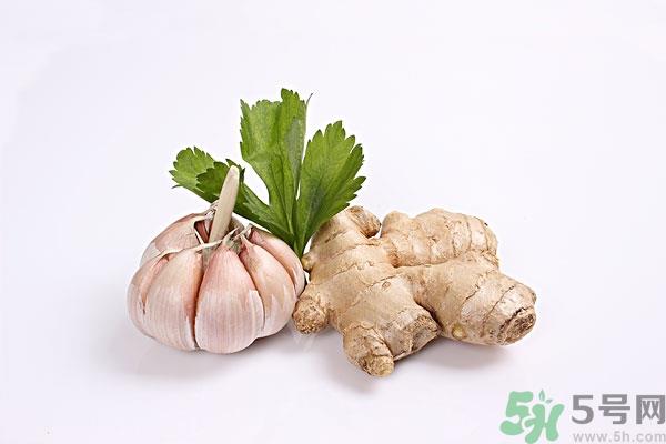 生姜能防止脱发吗?生姜防脱发生发的方法 生姜能防止脱发吗?生姜防脱发生发的方法