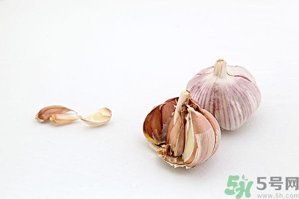 生姜能防止脱发吗?生姜防脱发生发的方法 生姜能防止脱发吗?生姜防脱发生发的方法