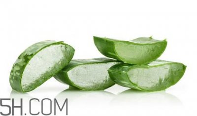 ​雅丽洁芦荟胶和完美芦荟胶哪个好？