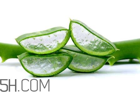 雅丽洁芦荟胶和完美芦荟胶哪个好？