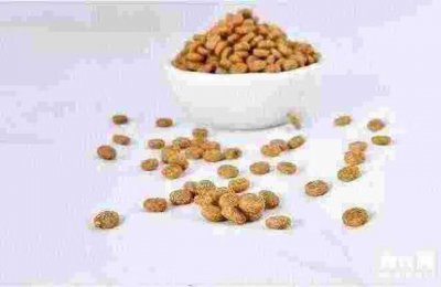 狗粮怎么喂合适(狗粮直接干喂好还是泡水后喂好)