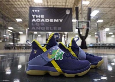nike lebron 14 nike bb academy配色在哪买?