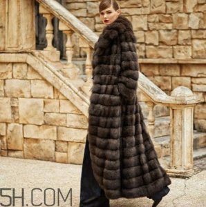 紫貂皮草一般多少钱?紫貂皮草价格