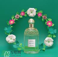 娇兰花草水语哪个好闻 娇兰花草水语系列介绍 娇兰花草水语哪个好闻 娇兰花草水语系列介绍