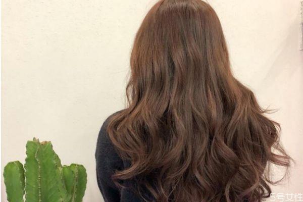 什么人适合染冷棕色 冷棕色和暖棕色的区别 什么人适合染冷棕色 冷棕色和暖棕色的区别