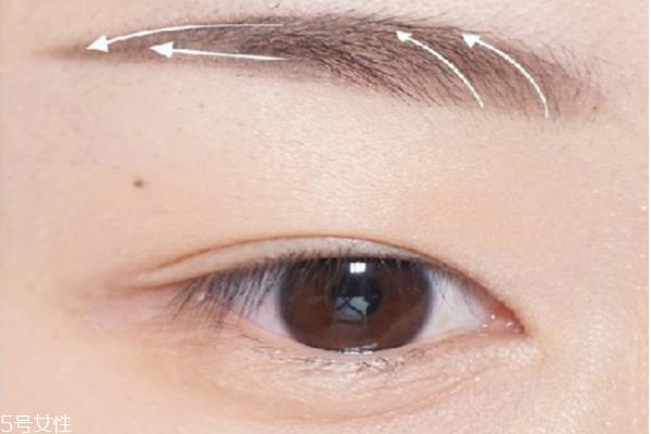 羽玉眉的画法分解图 羽玉眉适合的脸型 羽玉眉的画法分解图 羽玉眉适合的脸型