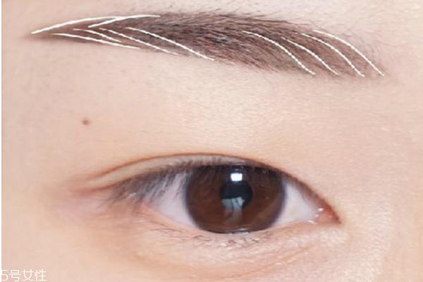 羽玉眉的画法分解图 羽玉眉适合的脸型 羽玉眉的画法分解图 羽玉眉适合的脸型