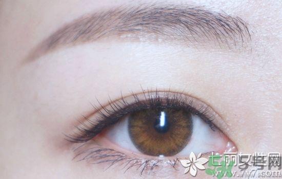 拍证件照穿什么颜色衣服好看 证件照怎么拍才好看