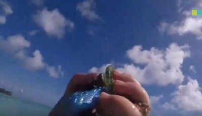 女子海边意外捡到心形石头,谁料竟是这种好东西