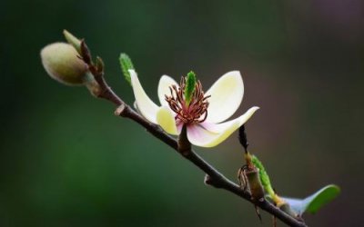 女人对男人彻底死心,往往是从“沉默”开始的
