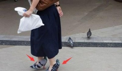 女子脚踩鸽子出来逛街,遭人指责,看清真相后不淡定了