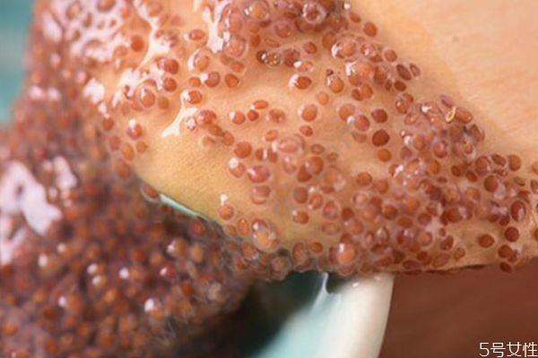 海藻面膜可以每天敷吗 海藻面膜前几次使用连着用几天 海藻面膜可以每天敷吗 海藻面膜前几次使用连着用几天