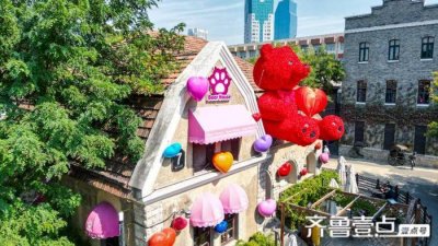 ​玫瑰熊爬上了老商埠的房,花式浪漫等你来