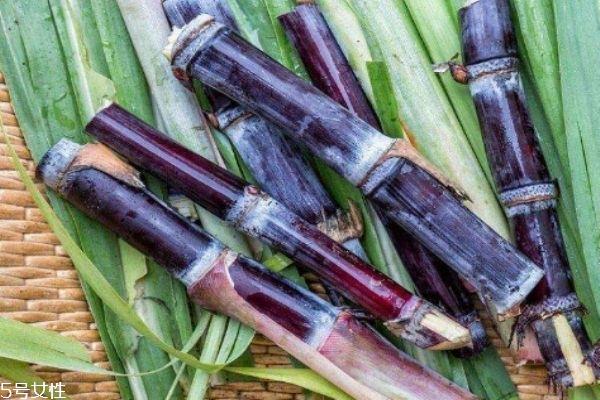 甘蔗有什么营养价值呢 吃甘蔗有什么好处呢