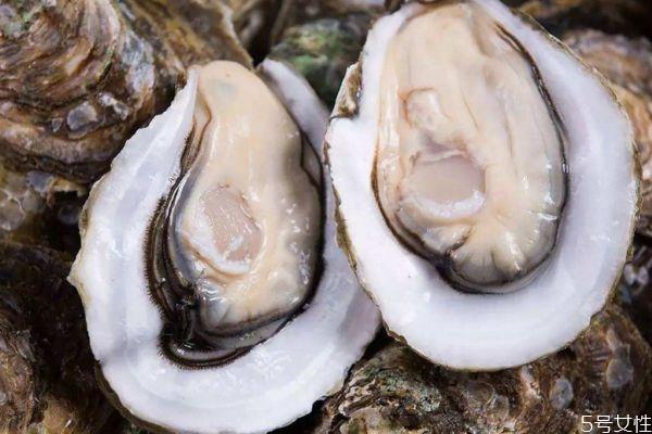 生蚝什么时候吃最好 生蚝什么季节最肥美 生蚝什么时候吃最好 生蚝什么季节最肥美