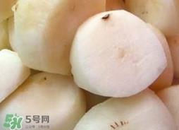 水马蹄是什么东西?水马蹄的功效与作用