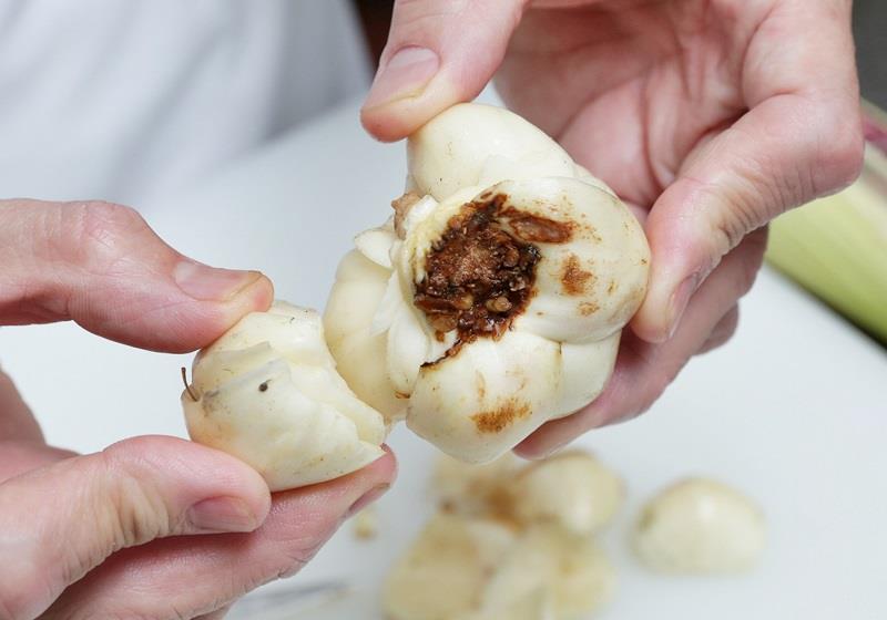 新鲜百合和干百合怎么挑选