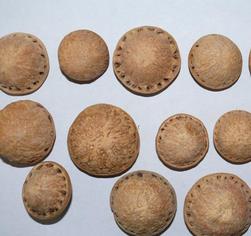 壮阳果怎么泡酒？ 壮阳果泡酒的功效与作用