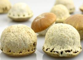 壮阳果怎么泡酒？ 壮阳果泡酒的功效与作用