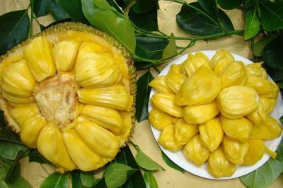 ​菠萝蜜丝可以冻起来吗 菠萝蜜丝冻后怎么吃