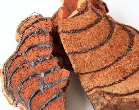 鸡血藤可以煲汤吗 鸡血藤炖鸡汤