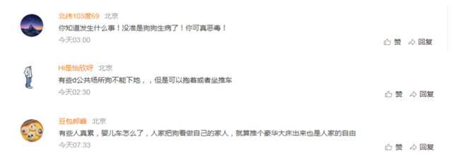 陈乔恩恋爱后首现身,用婴儿车推爱犬引众怒,指责:不该用婴儿车