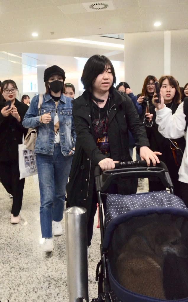 陈乔恩恋爱后首现身,用婴儿车推爱犬引众怒,指责:不该用婴儿车