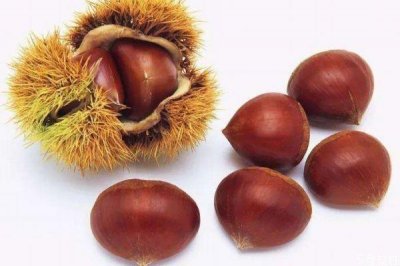 ​为什么栗子吃多了放屁 吃栗子造成放屁的原因是什么