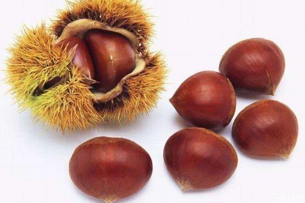 为什么栗子吃多了放屁 吃栗子造成放屁的原因是什么