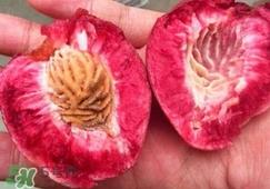 血桃几年挂果？血桃叶子什么颜色